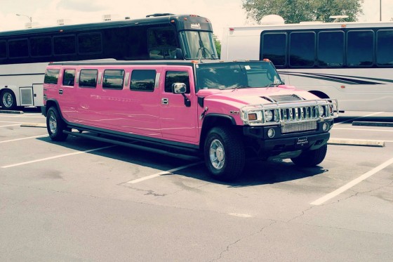 limousine rose