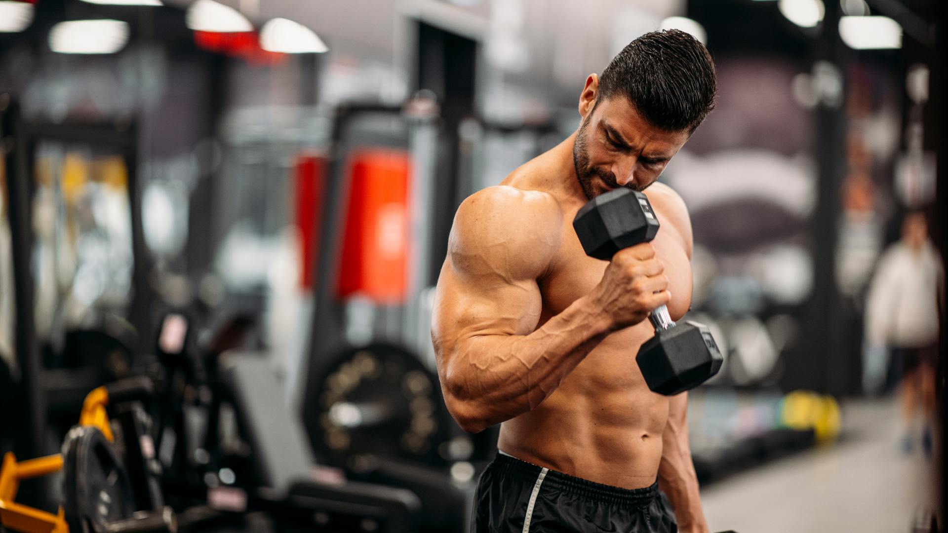 musculation salle de sport