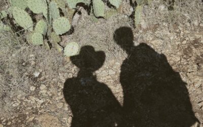 Virée romantique en Provence : surprises qui feront fondre ta moitié